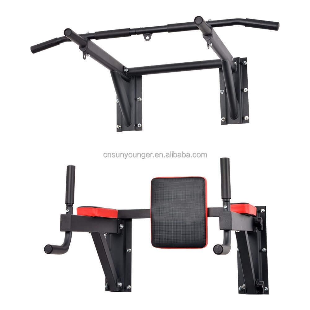 2026 Heavy Duty Wall Mounted P - Pull Up Bar Grip ulasan dan harga