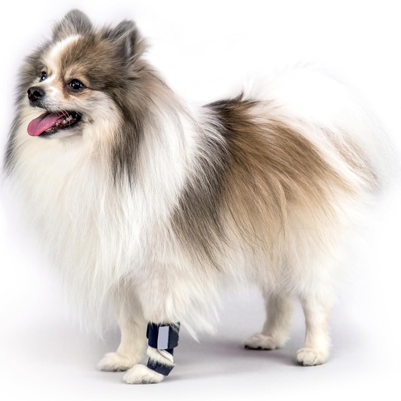 Carpal Hyperextension Dog Brac - Ankle Mobility Band ulasan dan harga
